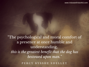 The psychological and moral comfort of a