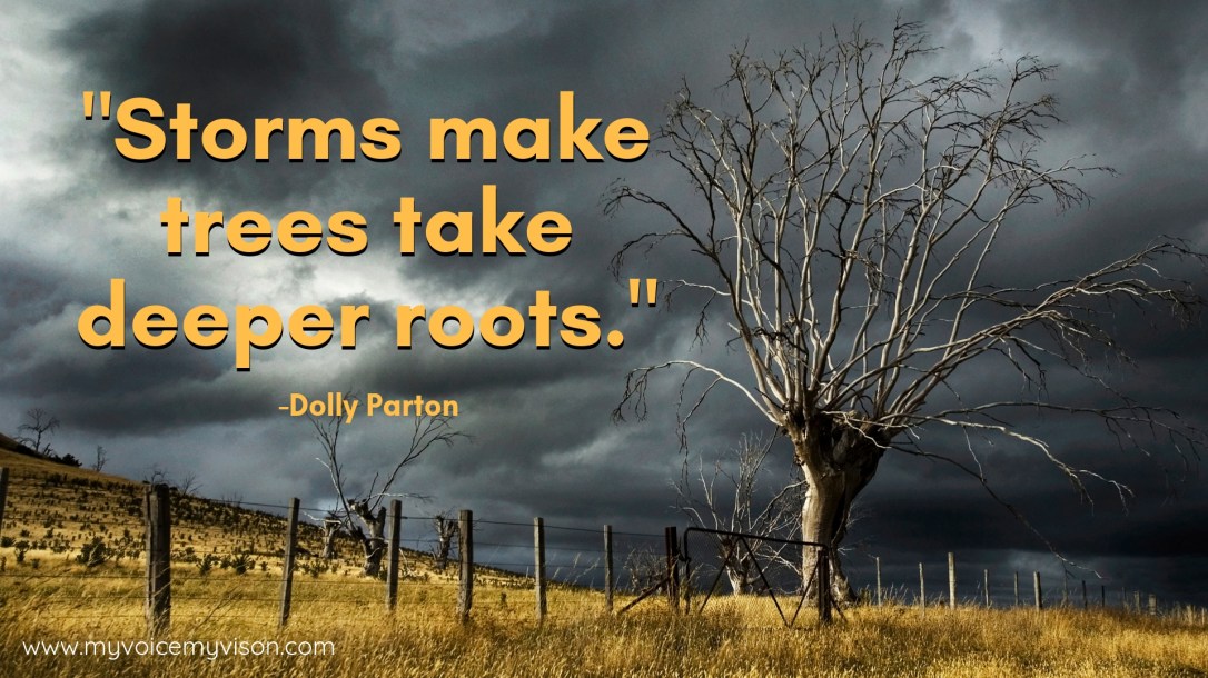 mvmv storm trees quote featured